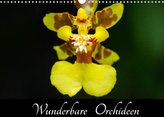 Wunderbare Orchideen (Wandkalender 2022 DIN A3 quer)