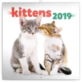 Poznámkový kalendář Koťata 2019, 30 x 30