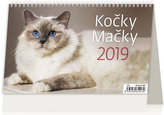 SK19 Kočky