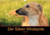 Der Silken Windsprite - ein Seelenhund (Wandkalender 2022 DIN A3 quer)