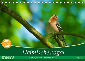 Heimische Vögel (Tischkalender 2022 DIN A5 quer) Heimische Vögel (Tischkalender 2022 DIN A5 quer)