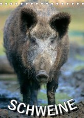 Schweine 2022 (Tischkalender 2022 DIN A5 hoch)