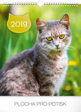 Nástěnný kalendář Kočky 2019