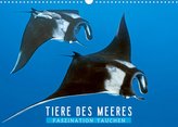 Tiere des Meeres: Faszination Tauchen (Wandkalender 2022 DIN A3 quer)