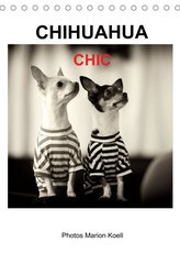 CHIHUAHUA CHIC Photos Marion Koell (Tischkalender 2022 DIN A5 hoch)