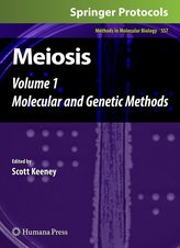 Meiosis 1