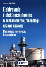 Elektrownie i elektrociepłownie w hierarchicznej technologii gazowo-gazowej