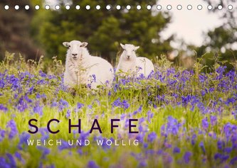 Schafe - Weich und wollig (Tischkalender 2022 DIN A5 quer)