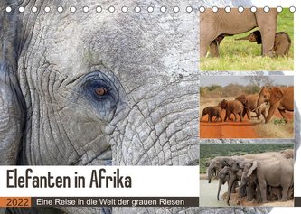Elefanten in Afrika (Tischkalender 2022 DIN A5 quer)
