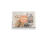 Kočky a koťata 2019 - stolní kalendář