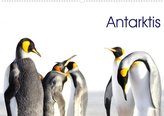 Antarktis - viaje.ch (Wandkalender 2022 DIN A2 quer)