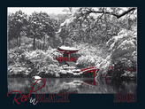 Red in black 2019 - nástěnný kalendář