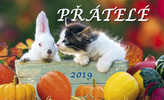 Přátelé 2019 - stolní kalendář