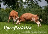 Alpenfleckvieh (Wandkalender 2022 DIN A4 quer)