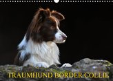Traumhund Border Collie (Wandkalender 2022 DIN A3 quer)