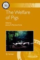 The Welfare of Pigs
