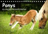Ponys, die starken Persönlichkeiten (Tischkalender 2022 DIN A5 quer)