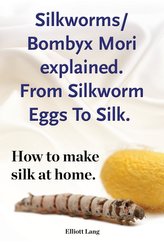 Silkworm/Bombyx Mori explained. From Silkworm Eggs To Silk. How to make silk at home. Raising silkworms, the mulberry silkworm,