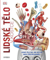 Lidské tělo v kostce