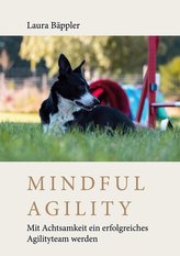 Mindful Agility