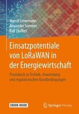 Einsatzpotentiale von LoRaWAN in der Energiewirtschaft