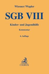 SGB VIII
