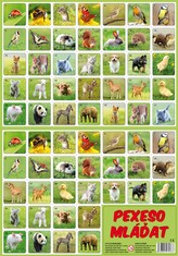 Pexeso Mláďata papírové společenská hra 32 obrázkových dvojic 24,5x34,5cm