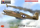 P-51B Mustang Aces