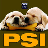 PSI (cube book)