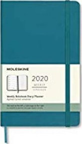 Moleskine: Plánovací zápisník 2020 tvrdý světle zelený L