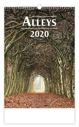 Kalendář nástěnný 2020 - Alleys