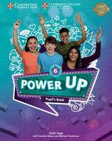Power Up Level 6 Pupil´s Book