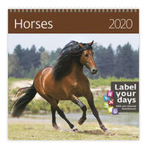 Kalendář nástěnný 2020 - Horses