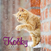 Kočky 2020 - nástěnný kalendář