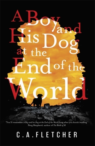 A Boy and his Dog at the End of the World A Boy and his Dog at the End of the World