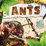  Ants