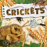  Crickets