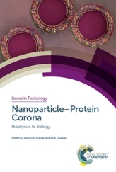  Nanoparticle-Protein Corona