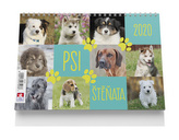 Psi a štěňata - stolní kalendář 2020