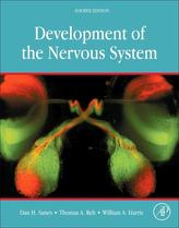  Development of the Nervous System