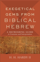 Exegetical Gems from Biblical Hebrew