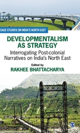  Developmentalism as Strategy
