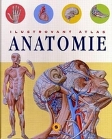 Ilustrovaný atlas Anatomie