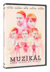 Muzikál aneb Cesty ke štěstí DVD