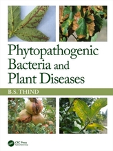  Phytopathogenic Bacteria and Plant Diseases