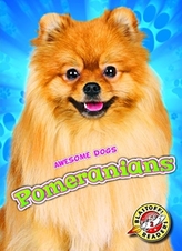  Pomeranians
