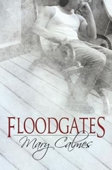  Floodgates