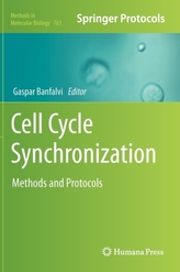  Cell Cycle Synchronization