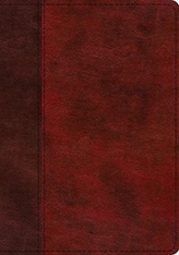  ESV Study Bible