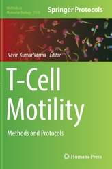  T-Cell Motility